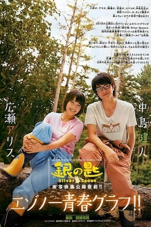 Silver Spoon poster