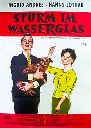 Poster Sturm im Wasserglas 1960