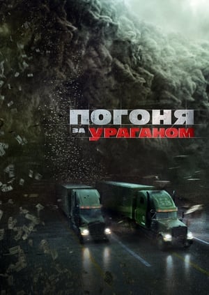 Погоня за ураганом (2018)