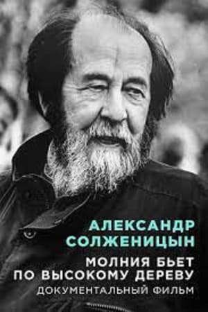 Image Aleksandr Solzhenitsyn Lightning strikes a tall tree