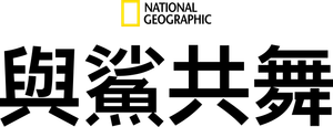 Playing with Sharks — Logos 6