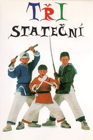 Poster Tři stateční 1992