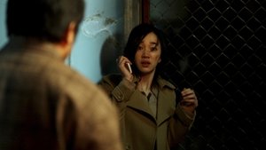 Midnight FM ( 2010 )