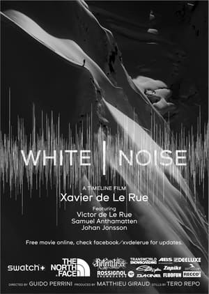 Poster White Noise 2012