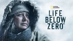 poster Life Below Zero