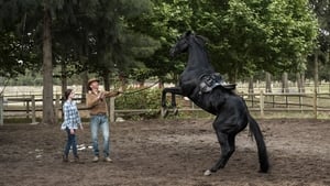 Black Beauty – Autobiografia di un cavallo