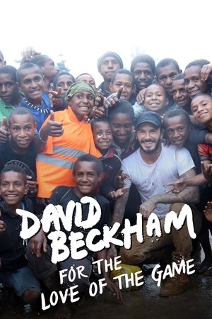 Poster Beckham: Por amor al fútbol 2015