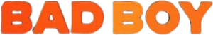 Bad Boy