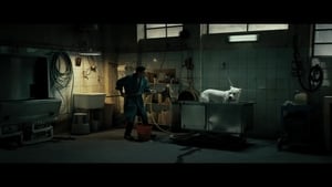 Dogman (2018)