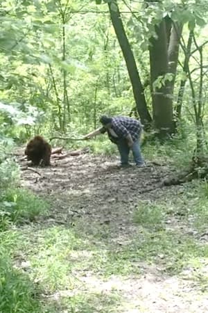 Image Bigfoot