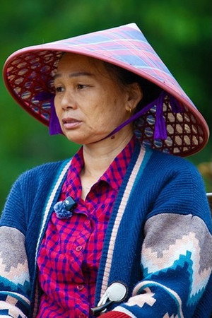 陈兴英