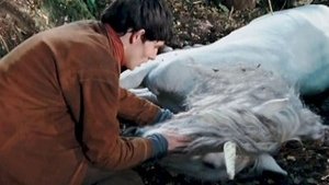 Merlin: 1×11