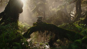 Images posters
