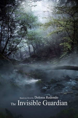 Nonton Drama Korea The Invisible Guardian (2017)