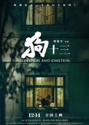 Poster 狗十三 2013