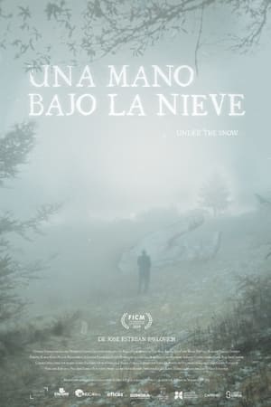 Poster Una Mano Bajo La Nieve 2022