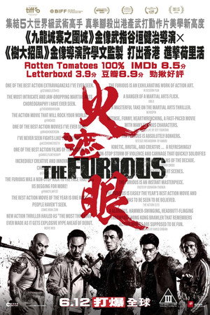 poster The Furious