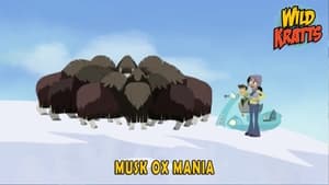 Wild Kratts Musk Ox Mania