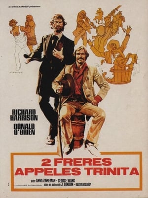 Poster 2 frères appelés Trinita 1972