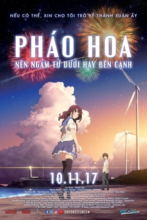 Pháo Hoa, Nên Ngắm Từ Dưới Hay Bên Cạnh? 2017