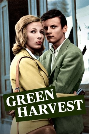 Image Green Harvest