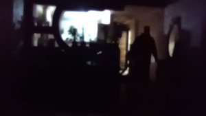 The Lights