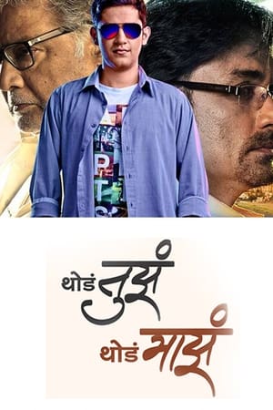 Poster थोडं तुझं थोडं माझं 2013