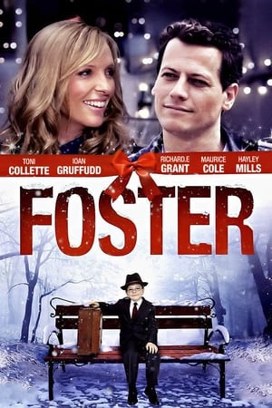 Poster Foster 2011