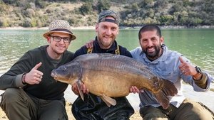 Monster Carp France