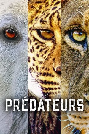 Prédateurs movie poster