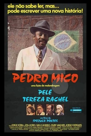Poster Pedro Mico 1985