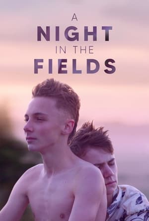 Poster A Night in the Fields 2020