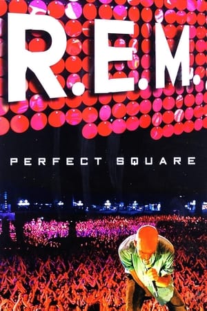 Image R.E.M. : Perfect Square