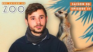 Episode 21