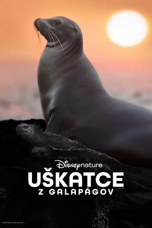 Image Uškatce z Galapágov