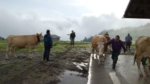 L'autre versant de Gstaad