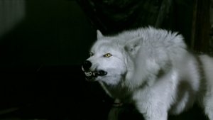Hemlock Grove Season 1 Episode 12