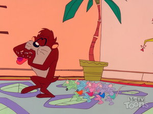 The Pied Piper of Taz-Mania still