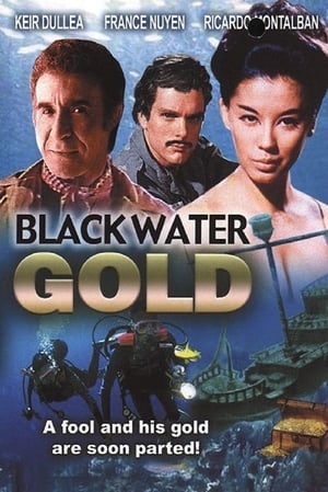 Poster Black Water Gold (1970)