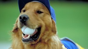 Air Bud 4 – Mit Baseball bellt sich’s besser (2002)