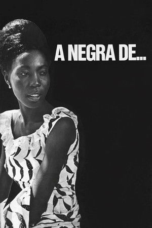 A Negra de...