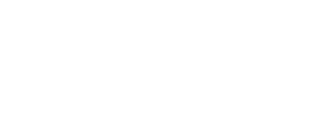 A Elefanta do Mágico