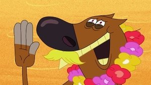 Zig and Sharko: 2×5