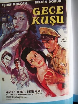 Gece Kuşu poster