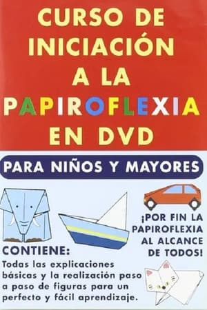 Curso de Iniciación a la Papiroflexia