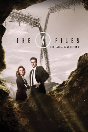 X-Files : Aux frontières du réel - Saison 3 - poster n°2