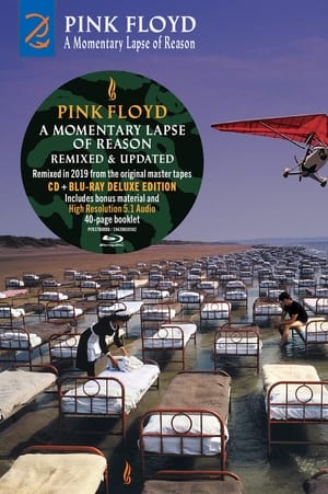 Image Pink Floyd - A Momentary Lapse of Reason (Remixed & Updated)