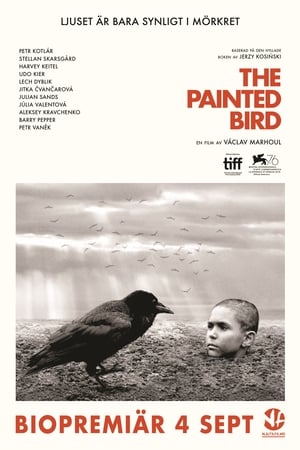 Image The Painted Bird