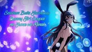 poster Rascal Does Not Dream of Bunny Girl Senpai