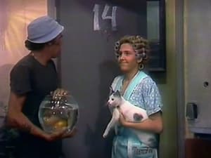 Chaves: 1×12